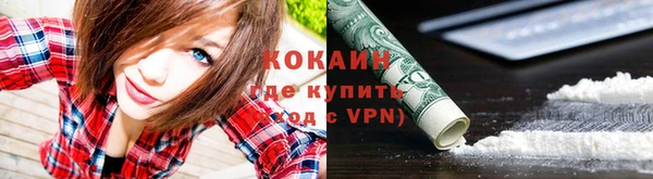 ешки Вяземский