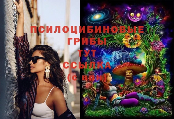 ешки Вяземский