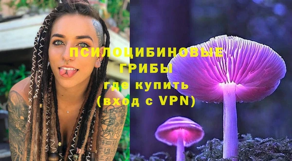 соль ск Вязники