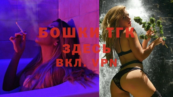 ешки Вяземский