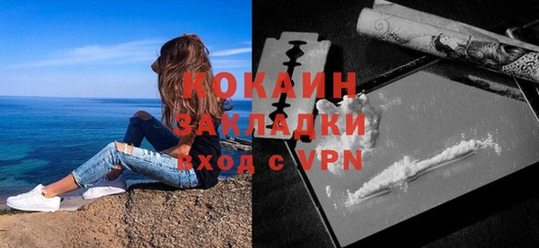 ешки Вяземский
