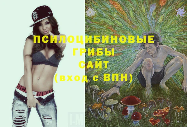 соль ск Вязники