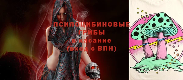 соль ск Вязники