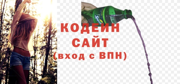 ешки Вяземский