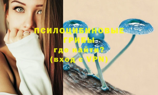 ешки Вяземский