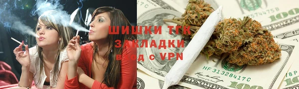 ешки Вяземский