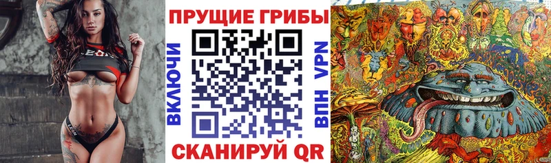 Купить закладки  Кропоткин  Галлюциногенные грибы Magic Shrooms 