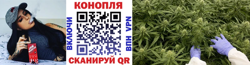 Купить закладки  Кропоткин  Канабис SATIVA & INDICA 